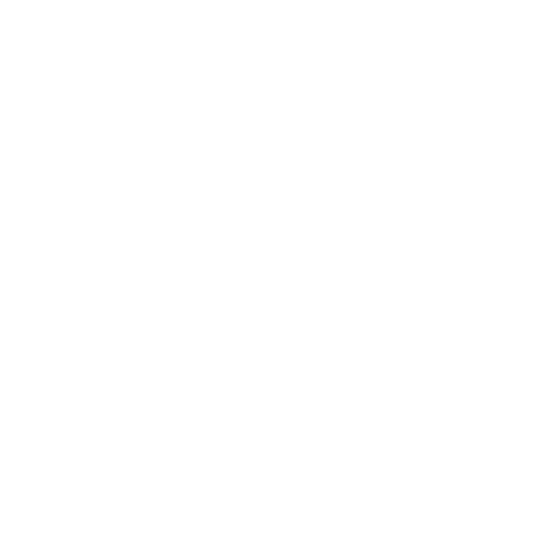 Icona foto